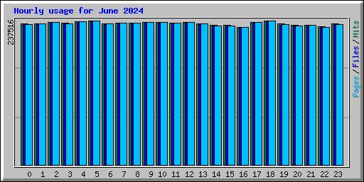 Hourly usage for June 2024